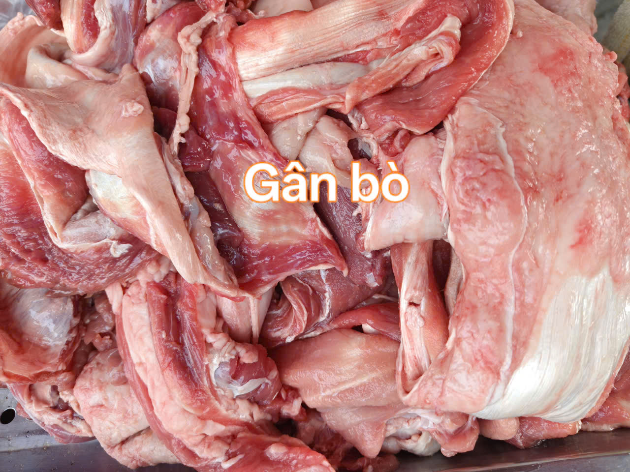 Gân bò tươi